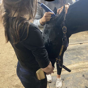 Meet your Posher, Sally